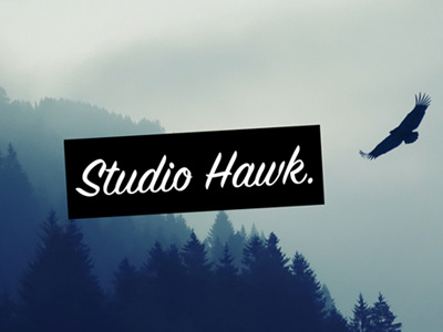Studio Hawk logo clean color design flat illustration logo