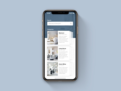 Home Page for Furniture App