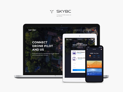 SKYBC Web & App ui web