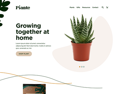 Piante Plants design shopify shopify store ui ux web web design website website design