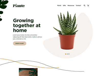 Piante Plants design shopify shopify store ui ux web web design website website design