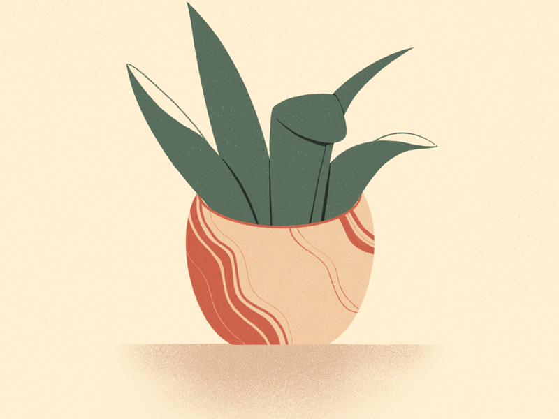 potted babe plants graphic design graphic illustration procreate
