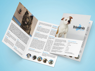 4-page brochure for pet spa brochure graphic design pets print