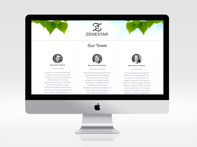 Website and Logo for Finnish wellness company Zenestar graphic design logo design web design wellness wordpress