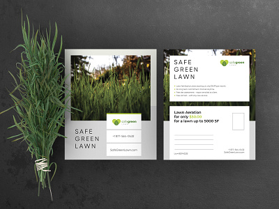 Postcard green grown lawn photoshop postcard design safe green
