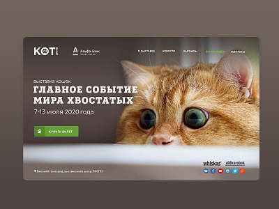 Сat show banner design brown cat design event web