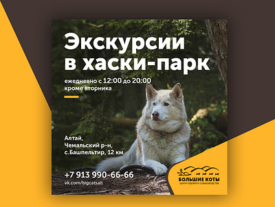 Social banner banner ad clear design dog husky