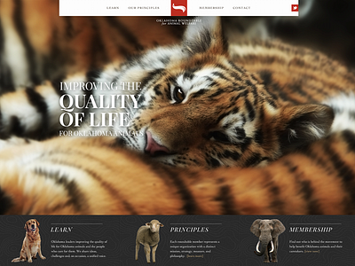 Humane Animal Website animals bar cutouts interactive minimal oklahoma pattern photography promos website