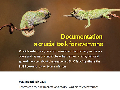Karma Chameleon animal chameleon computer cover documentation geeko informatic linux magazine open source print