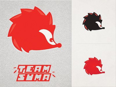 Here's your Mascot animal head hedgehog illustration illustrator logo mascot sega sonic team