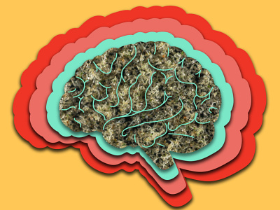 BIO CHEMISTRY adobeillustator brain cannabis cannabis design design digital digital illustration graphic design illustration illustrator photoshop thebloombrand weed