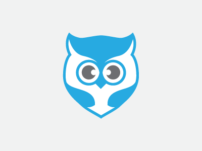 Owl Graphic flat design graphic owl