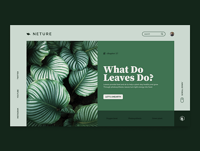 Neture - WEB UI Design