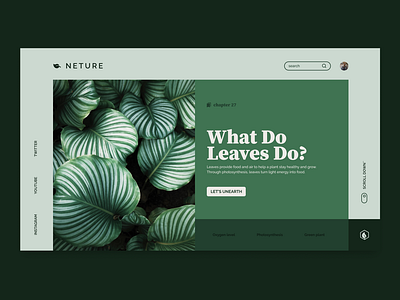Neture - WEB UI Design