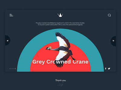 Grey Crowned Crane Page crane.nature creative figma logo site design uganda uiux webdesign website