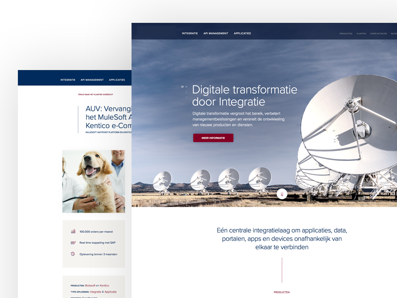 Software integration company wireframing ux ui white blue red bold minimal clean software