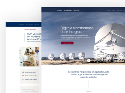 Software integration company