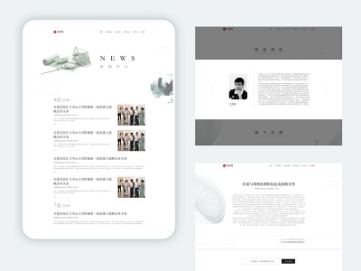 Medical website Chinese medicine contracted style website design design illustration ux web