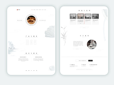 Medical website Chinese medicine contracted style website design design ux web 设计