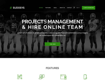 Sudosys website design ui