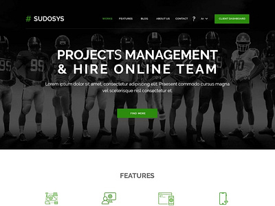 Sudosys website design