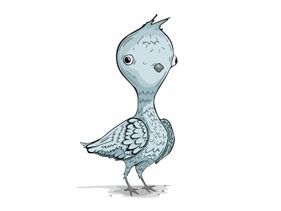 Pigeon cartoon