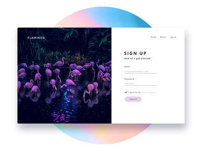 Sign up page | Daily UI #001 animals app blob branding dailyui design home page icon illustration landing page logo minimal type typography ui user interface ux vector web website