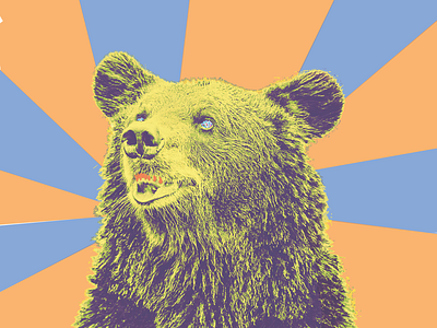 Collage Illustration - Bear