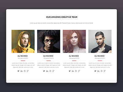 Team section form Nifty – Multi Purpose PSD Template