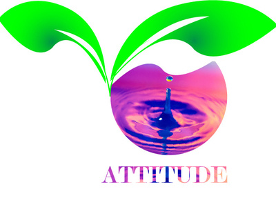 Attitude