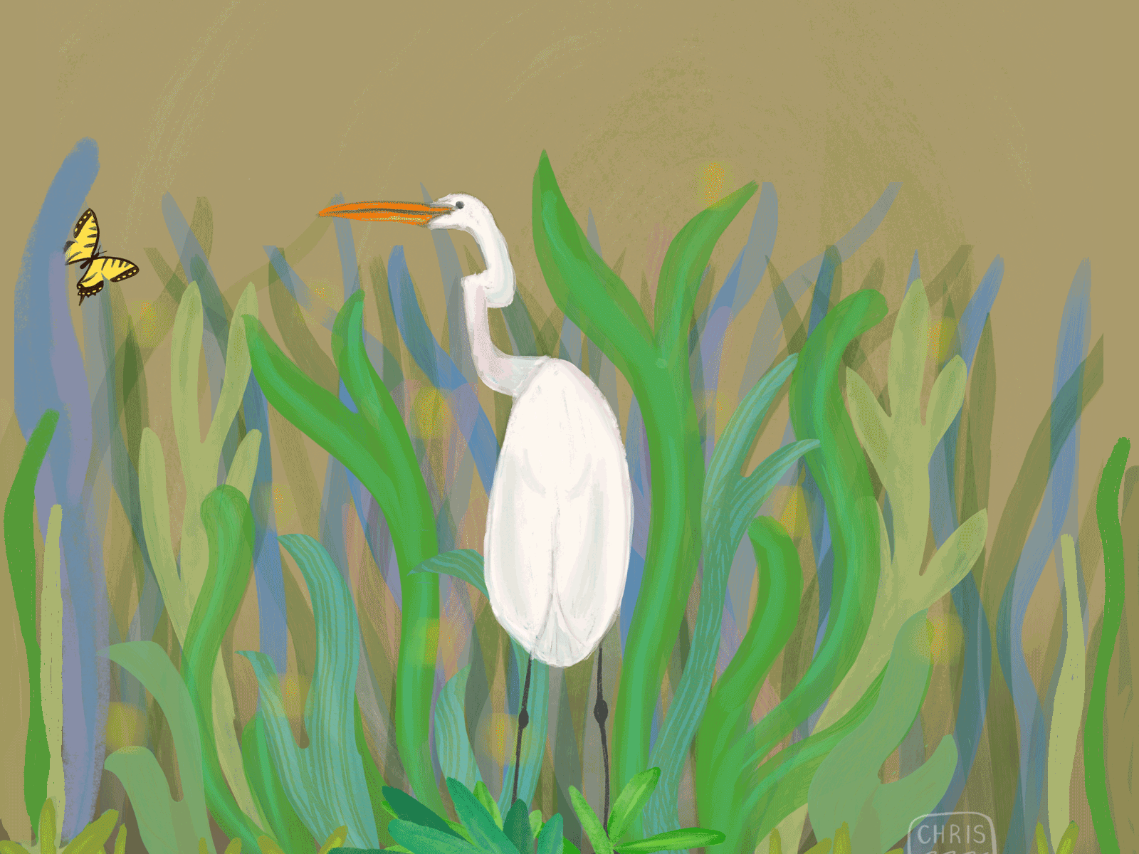 Heron and Butterfly gif animated gif animation character design editorial illustration gif illustration art director design motion graphic photoshop procreateapp tropical
