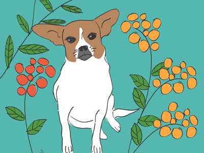 Brown and White Dog Illustration
