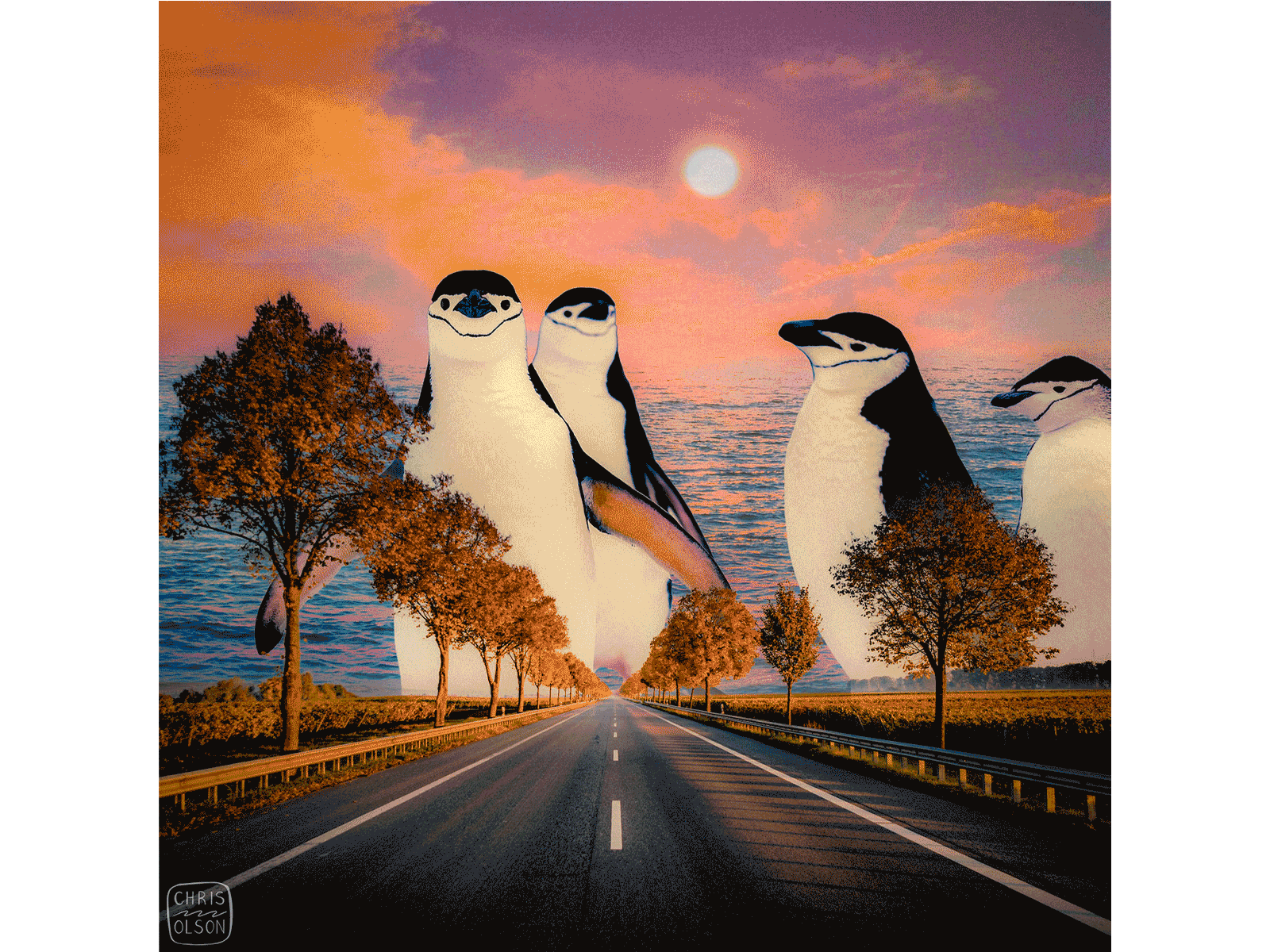 Fantasy Fall Roadtrip: Photo Compositing compositing digital collage editorial art penguins photo compositing photography photoshop sky replacement