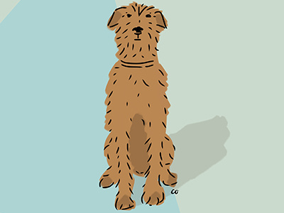 Irish Terrier illustration dog art dogs irish terrier spd terriers