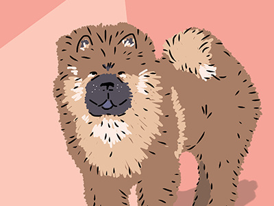 Chow Chow illustration chow chow dog art dogs spd