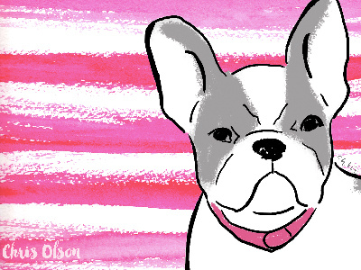 French Bulldog Illustration