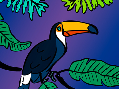 Toucan animal character illustration jungle kids spd toucan tropical vector