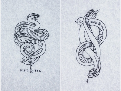 Bird & Boa bird boa drawing hand drawn illustration logo sharpie snake tattoo tattoo style