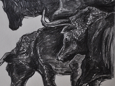 Pencil on Paper: Bulls bulls drawing graphite illustration madrid pencil toros