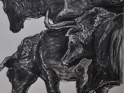 Pencil on Paper: Bulls