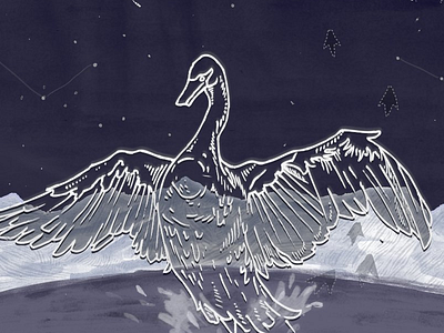 Cygnus (detail) constellations digital drawing illustration ink painting stars swan vector watercolor