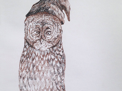 Wyrd Ovvl drawing hat illustration ink nature owl pen and ink sketch