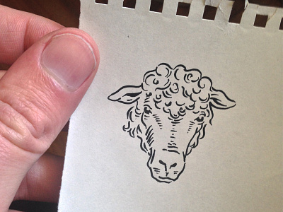 Lamb Illustration animal drawing illustration ink lamb nature pen and ink sheep