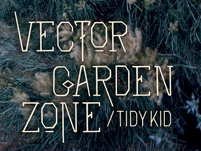 Tidy Kid — Vector Garden Zone Album Art album art custom type handset lettering music ornaments type typography