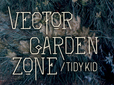 Tidy Kid — Vector Garden Zone Album Art