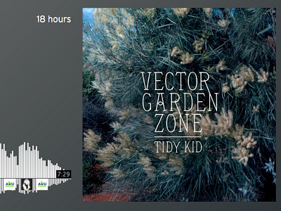 Tidy Kid — Vector Garden Zone Album Art (Final)