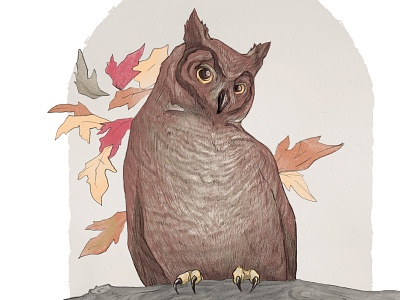Great-Horned Owl Illustration