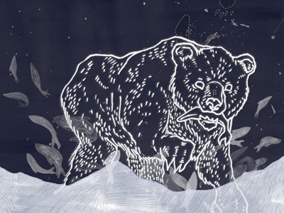 Ursa Major (Detail) bear big dipper constellation illustration stars