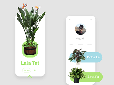 Plant B - UI/UX Application app application design designer modern ui ui design user interface ux