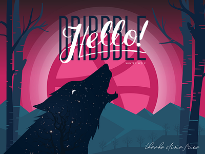 First Dribbble Shot - Hello Dribbble!